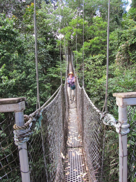 …and even a canopy walkway!