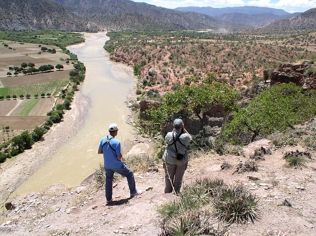 We’ll visit the very dry valley of the Mizque River for several specialties.