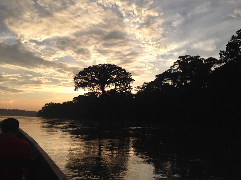 No matter what we see, it’s always different, and simply being in Amazonia is an experience in itself. 