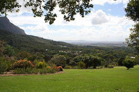 …where our excursions will include a visit to the world-famous botanical gardens at Kirstenbosch…
