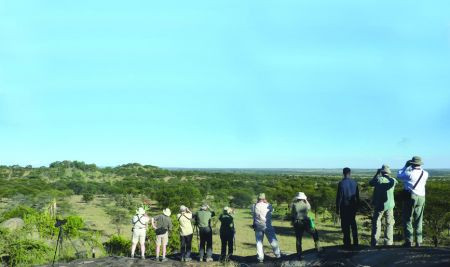 The rocky outcrops that punctuate the Serengeti skyline are great places from which to scan for birds…

 
