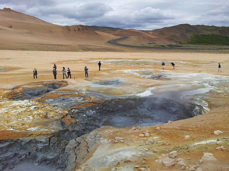 The geology of Iceland is almost as fascinating as its birds, such as these mud pools…