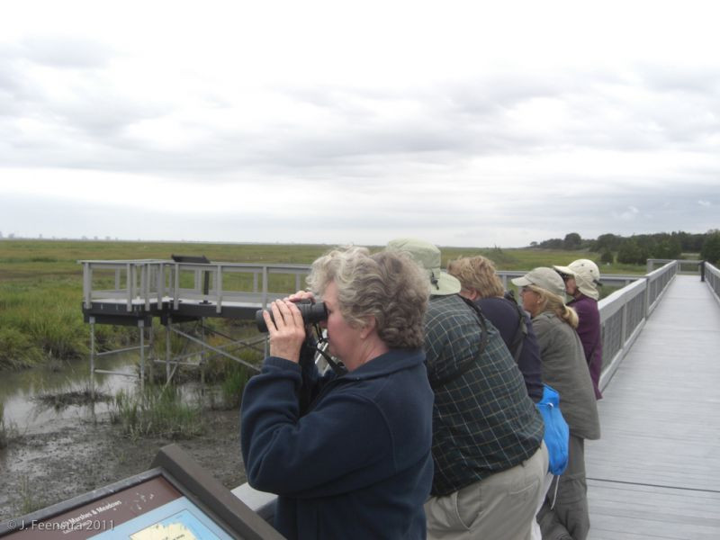 …or from boardwalks that get up close and into the marsh…
