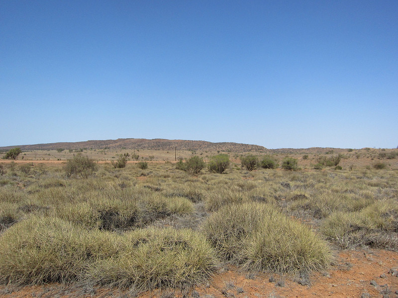 The open spinifex covered plains south of Alice support…              