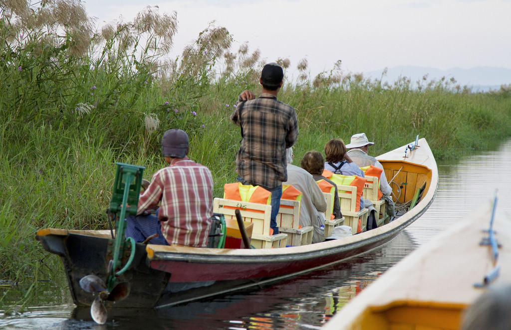 The boats allow us to glide silently alongside the reeds,