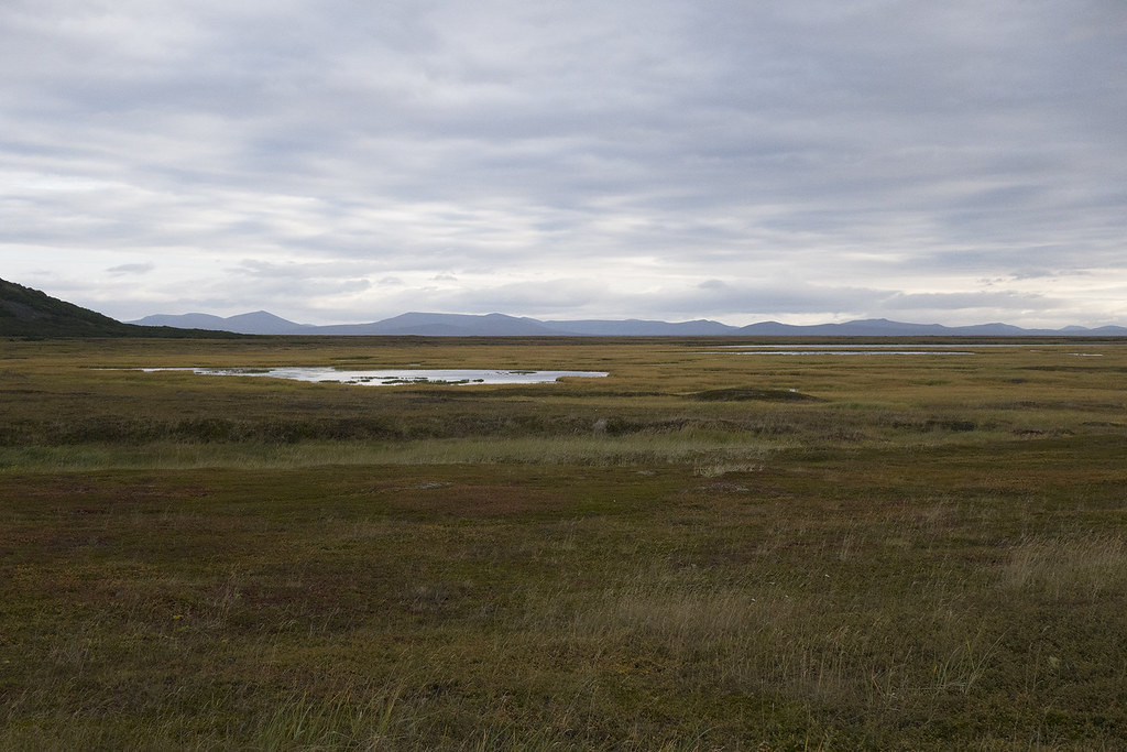 Fall in Alaska is a beautiful time, with the colors turning on the tundra…