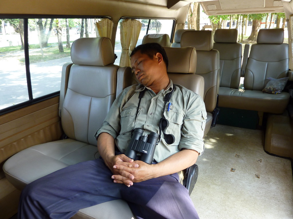 Our Thai escort, Pipith, taking a well-deserved cat nap.