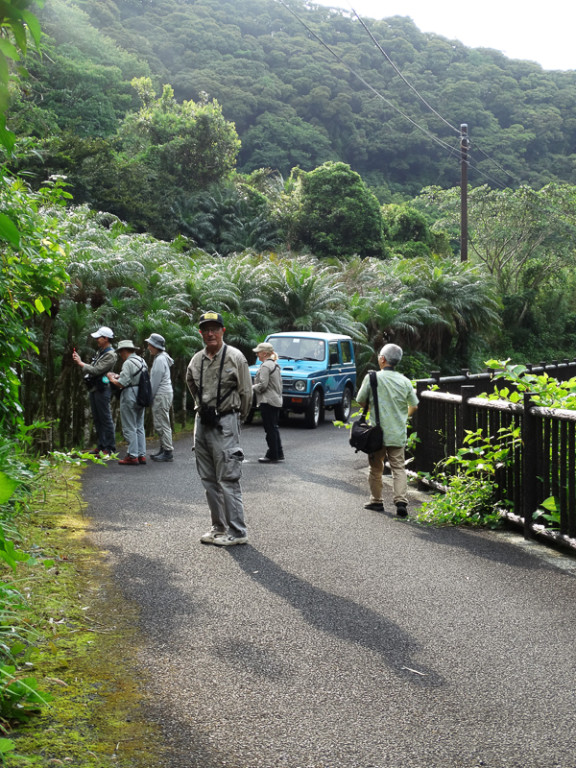 This spring time tour of Japan will be memorable not only for the wonderful birding…