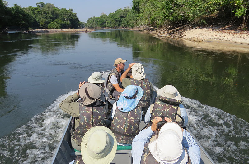The most enjoyable hours will be spent birding by boat along several miles of the pristine Cristalino River.