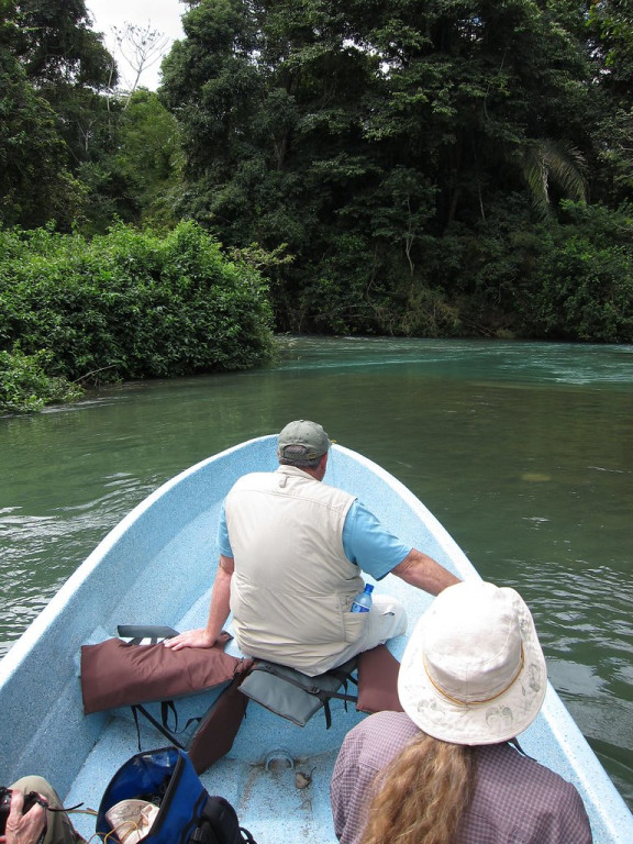 Luxuriant forest and spectacular rivers characterize the Lancadon rainforest (rh),
