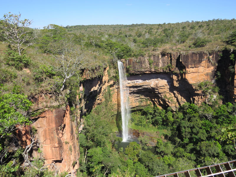 We begin in the Chapada dos Guimarães, an area of spectacular scenery and intriguing bird life.