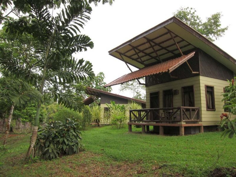  We’ll spend time at another lowland rainforest lodge, this one farther inland… 