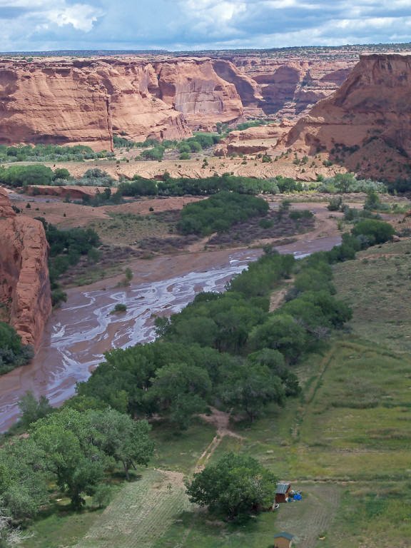 Over 40 Navajo families still farm Canyon de Chelly’s valley bottom.