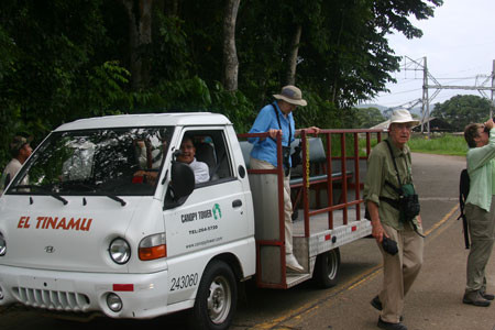 Using open-air vehicles we’ll explore the many birding locations within a few miles of the tower…