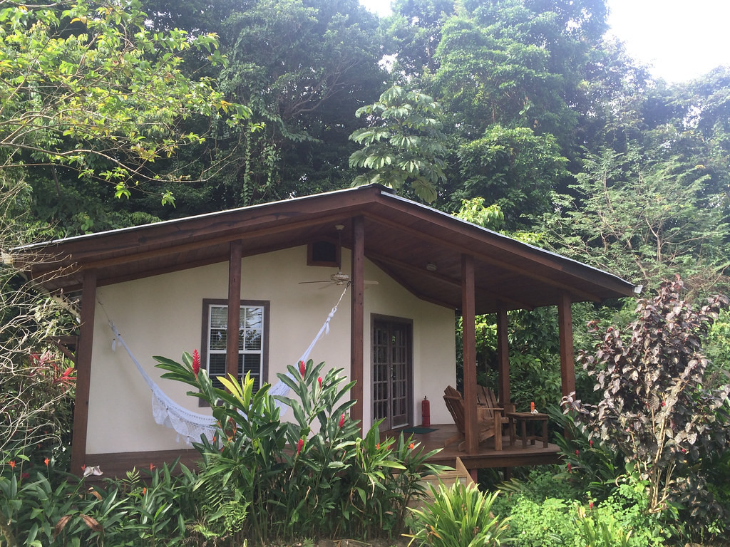 Our base for the lowland portion of the tour is the very comfortable Tranquilo Bay Ecolodge, with attractive cabins…