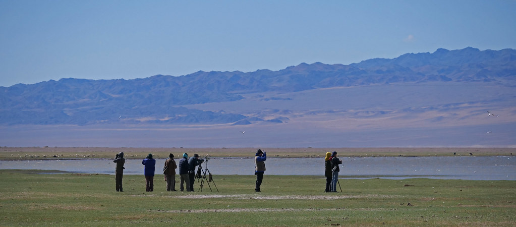 Our journey through Mongolia takes us to some wonderful locations in search of birds.