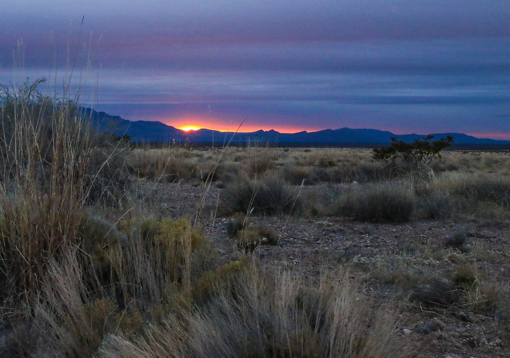 …and the Chihuahuan Desert grasslands, here at sunrise.