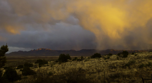 The summer monsoon rains bring the Arizona hills and deserts to life.
