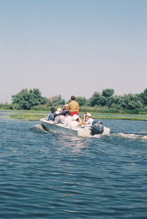 The Danube Delta is the largest wetland preserve in Europe, a wonderland for herons...