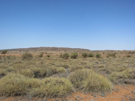 The open spinifex covered plains south of Alice support...              