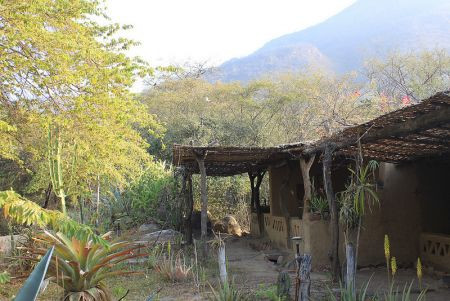 We'll use several lodges located in the birding areas such as Chaparri...