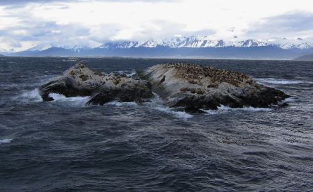 A boat trip down the Beagle Channel allows close approach to islands scattered throughout...