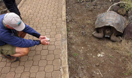 On one day we&rsquo;ll look for giant tortoises in the wild before visiting a tortoise breeding facility.