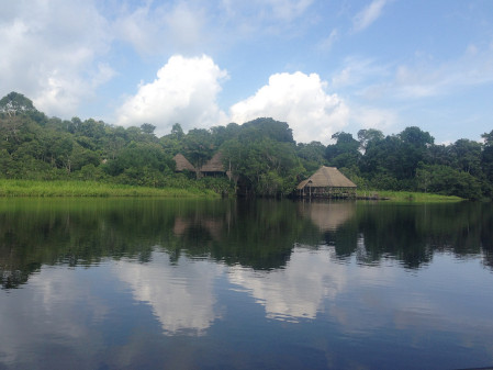 After a short walk followed by a canoe ride, we'll reach Sani Lodge, our home for the week.