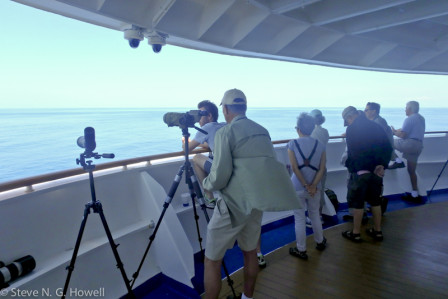 Watching from the ship is comfortable and nicely shaded in these mostly tropical latitudes.