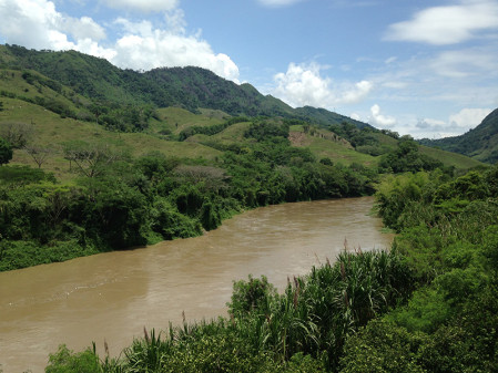 ...and dry forest and agricultural fields in the Cauca valley.