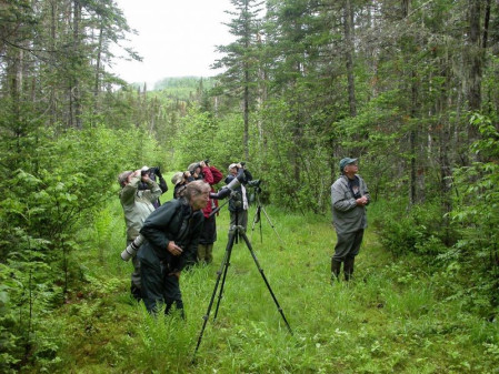 We'll walk through boreal woodlands... 