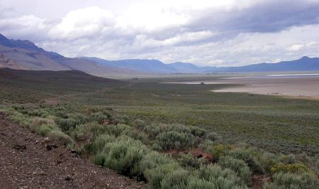 Much of the region is covered in dry sagebrush flats, home to Sage Sparrow and Sage Thrasher...