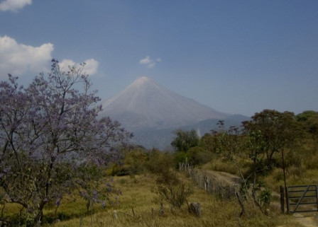 Moving to Colima City and different views of the volcanoes, birds include..