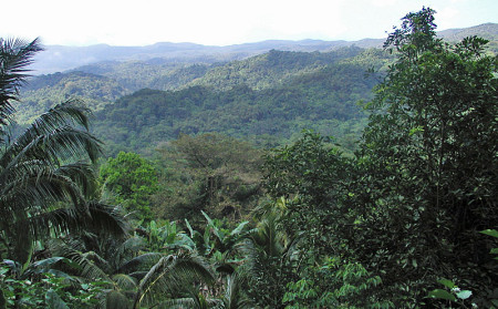 We&rsquo;ll visit all of Jamaica&rsquo;s important habitats from the mountains&hellip;
