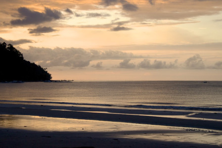 Each island's scenery is as distinct as its avifauna: Morning on the beach at Palawan...