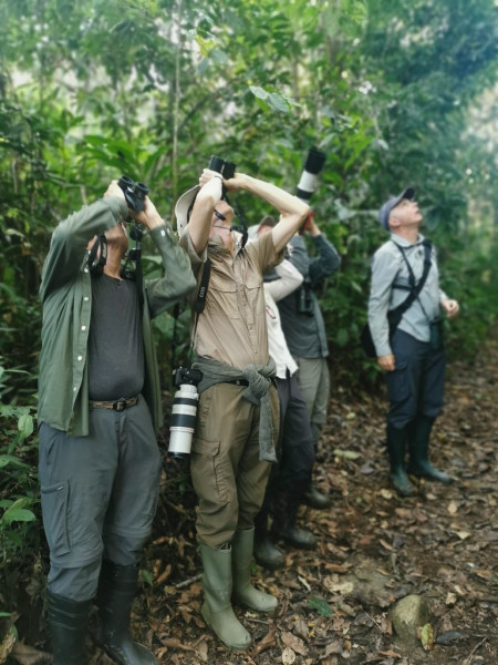 Birding the tropical forest is like being a kid in a candy store!