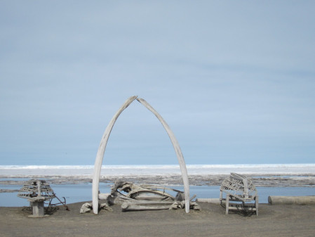 A post-tour extension to the high Arctic in Utqiagvik (formerly called Barrow)...