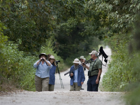 This tour distills a great blend of tropical forest birding on quiet roads...
